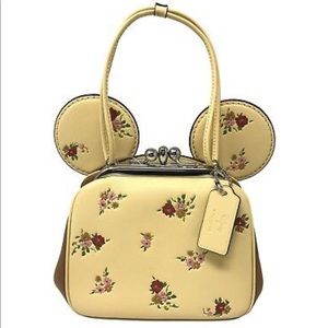 Disney X Coach 2018